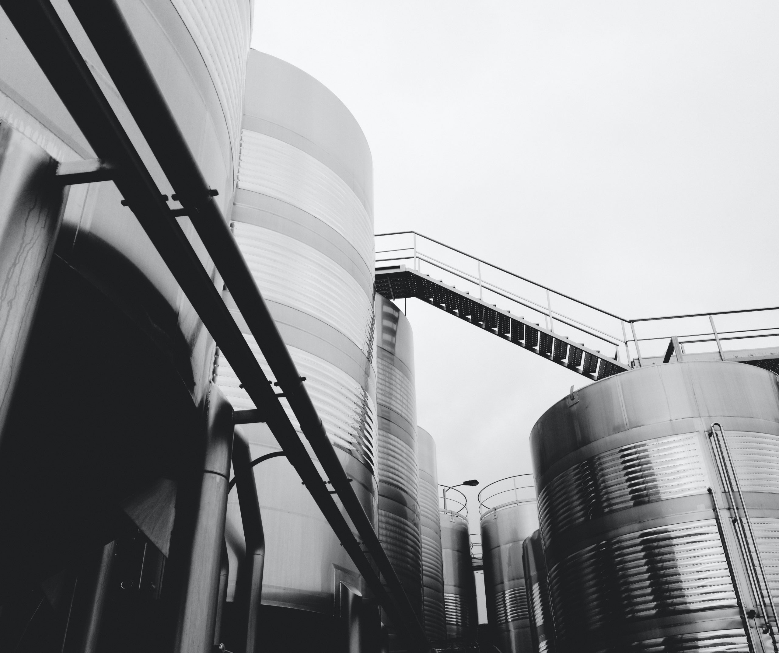 Rencontre avec Ali Chtourou, consultant SAP FI/CO